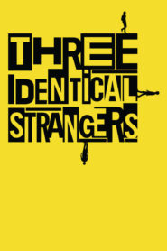 Três Estranhos Idênticos