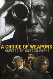Uma Escolha de Armas: Inspirados por Gordon Parks
